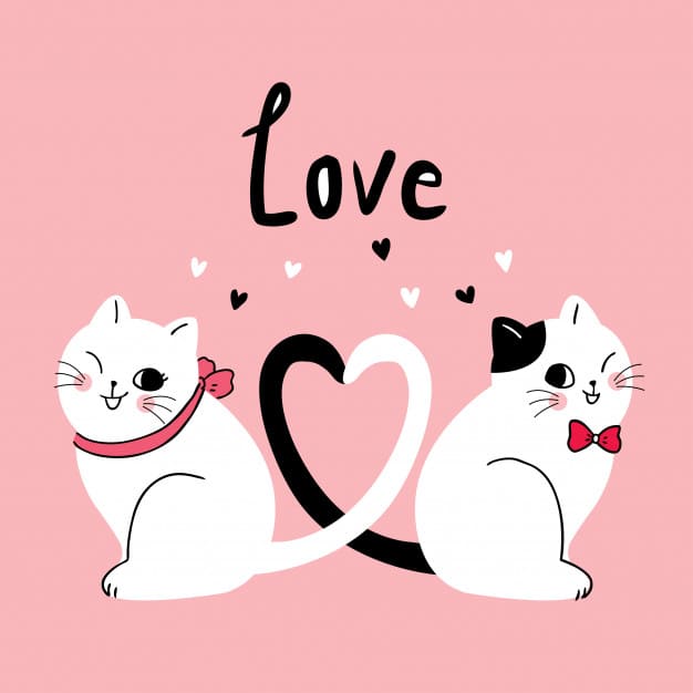 Detail Animasi Lucu Romantis Nomer 21
