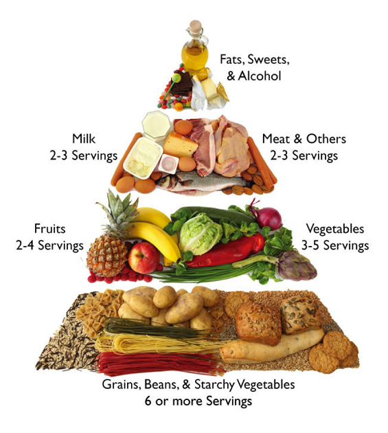 Detail Animasi Makanan 4 Sehat 5 Sempurna Nomer 12