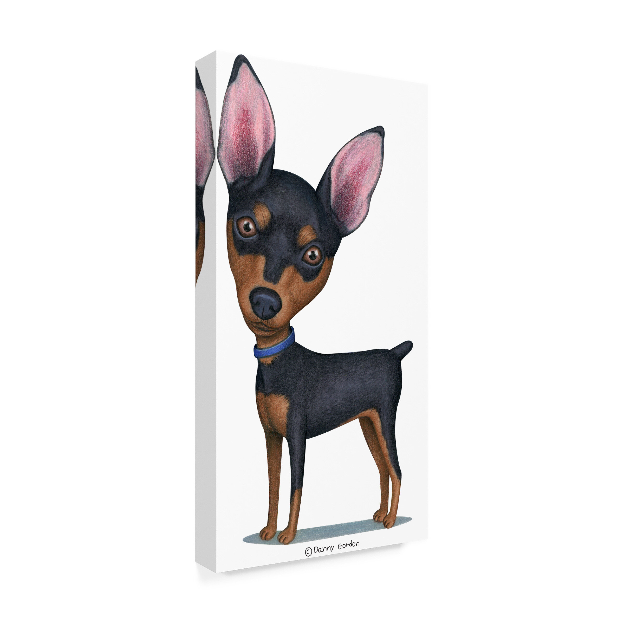 Detail Baby Pinscher Nomer 8