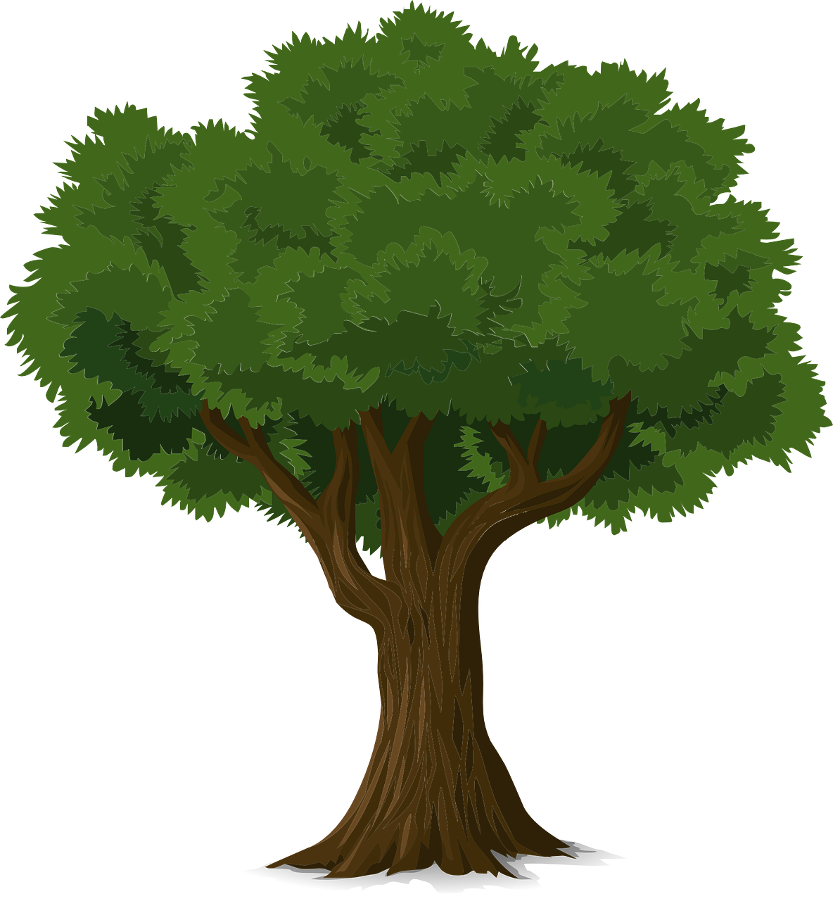 Detail Baum Mit Mond Nomer 22