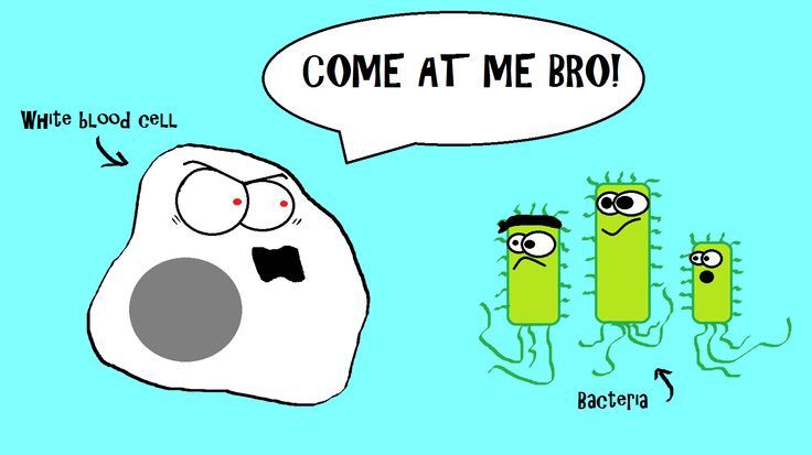 Detail Immunsystem Comic Nomer 8