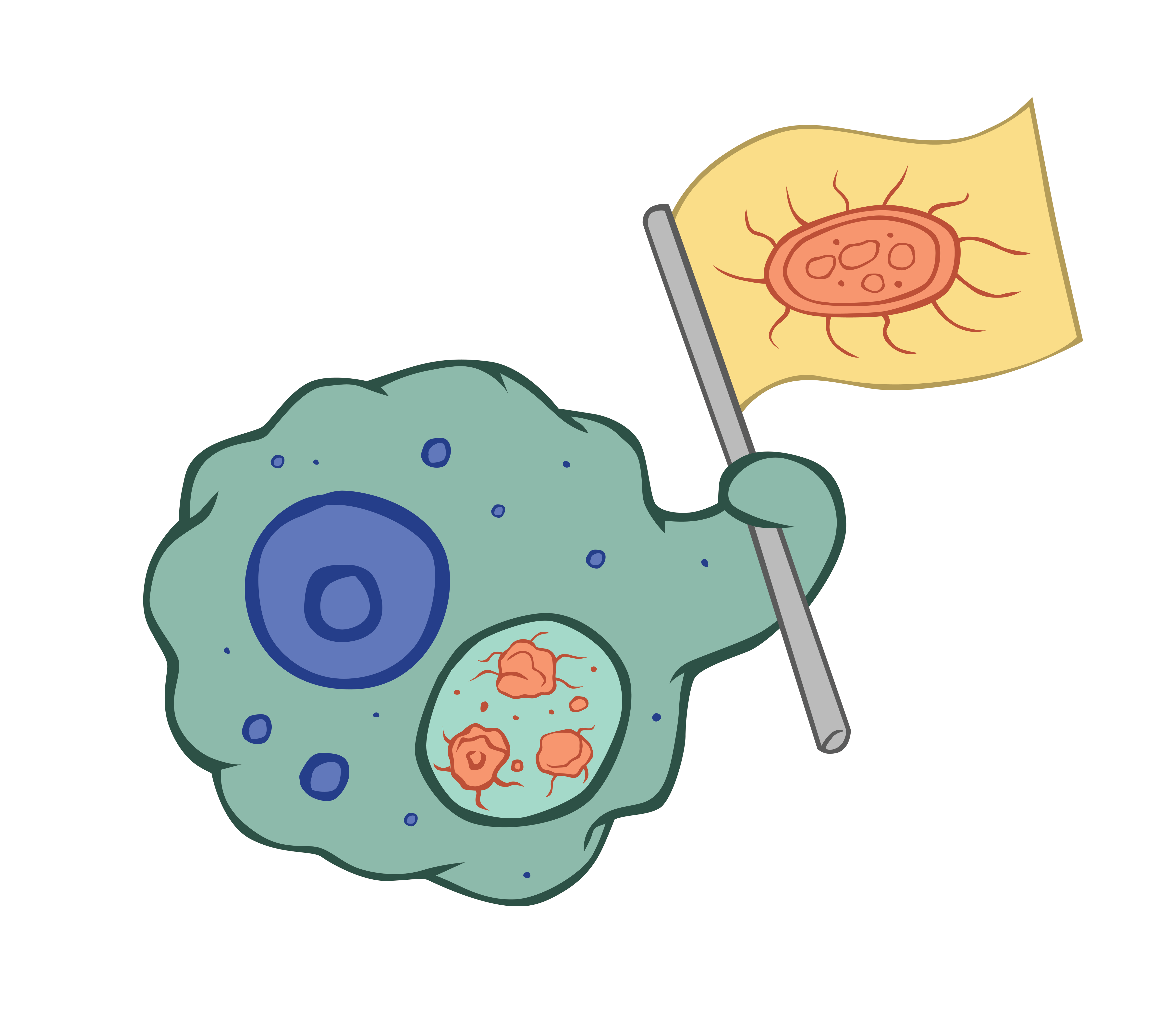 Detail Immunsystem Comic Nomer 17