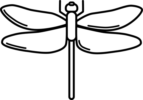 Detail Libelle Ausmalbild Nomer 13