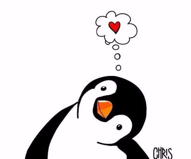 Detail Love Pinguine Liebe Nomer 8