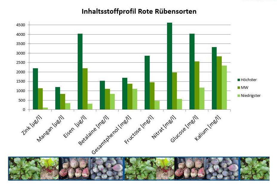 Rote Beete Fructose - KibrisPDR