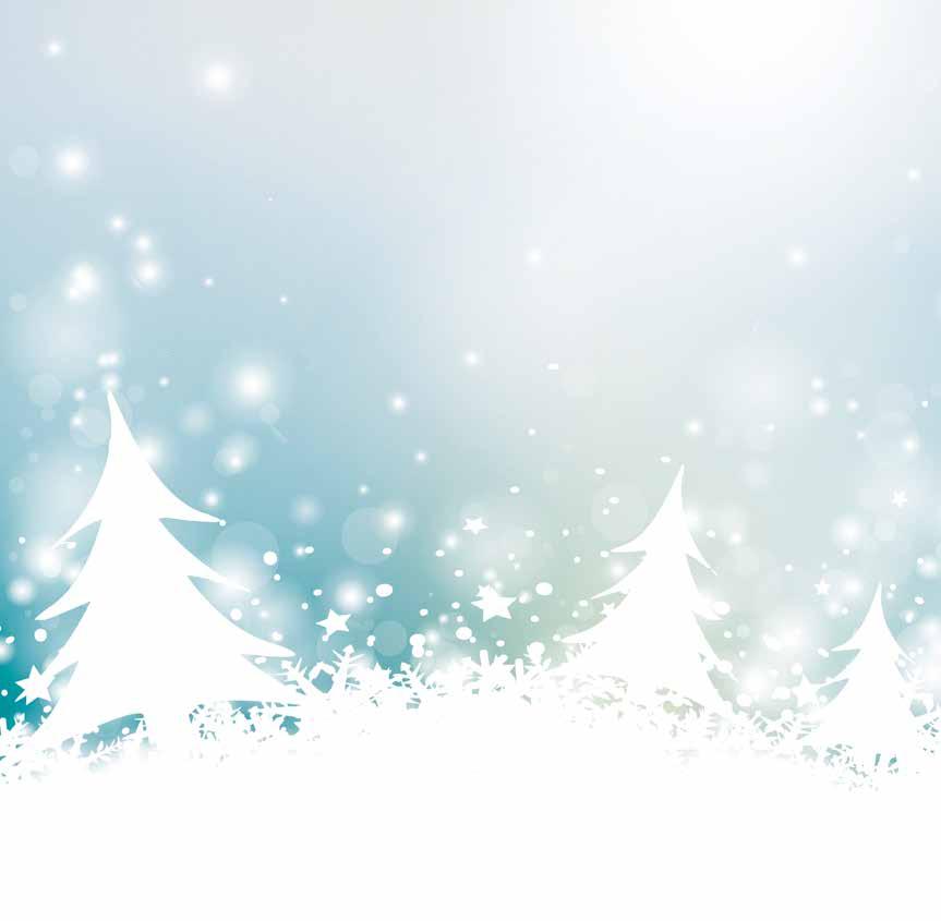 Detail Stadt Im Schnee Nomer 21