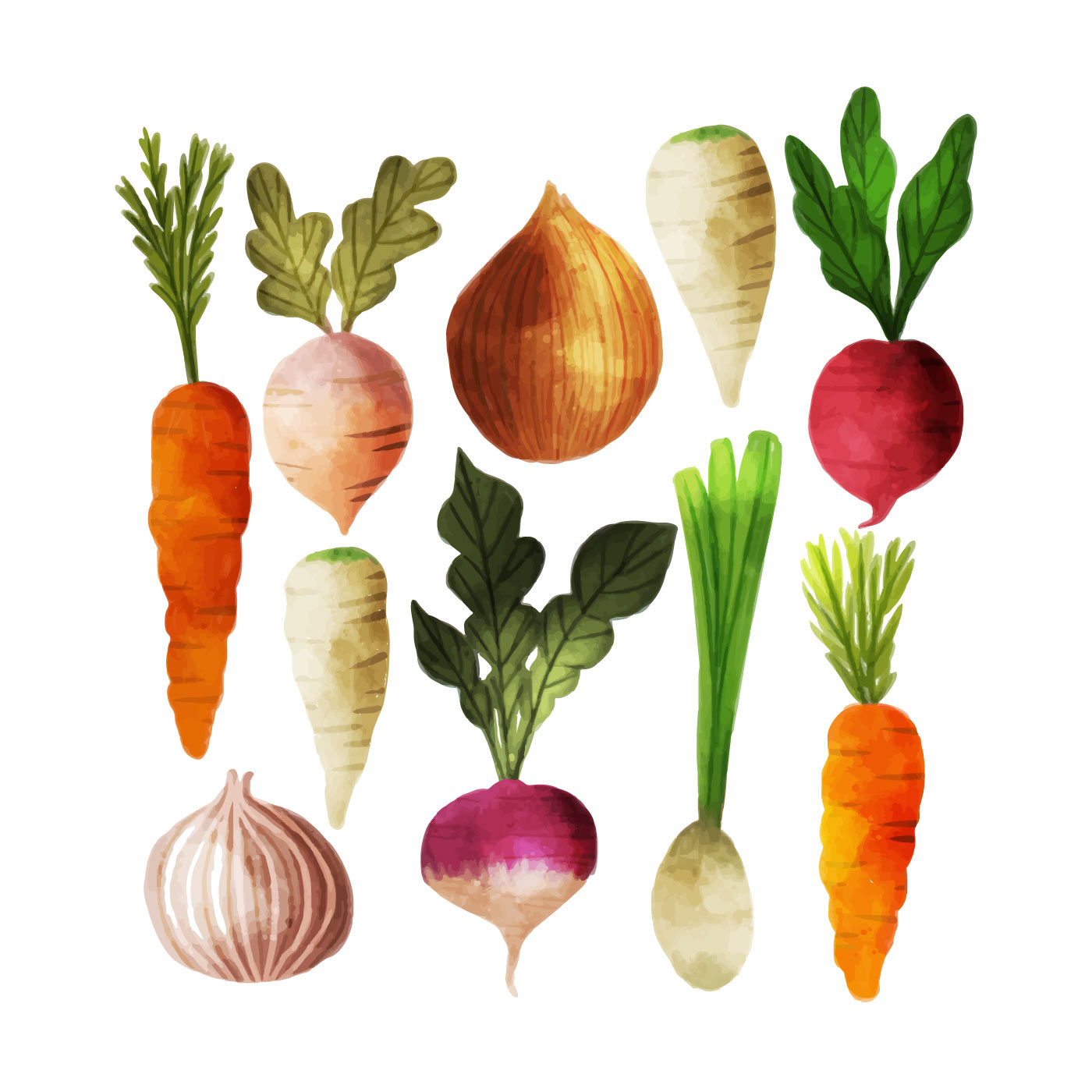 Watercolor Vegetables - KibrisPDR