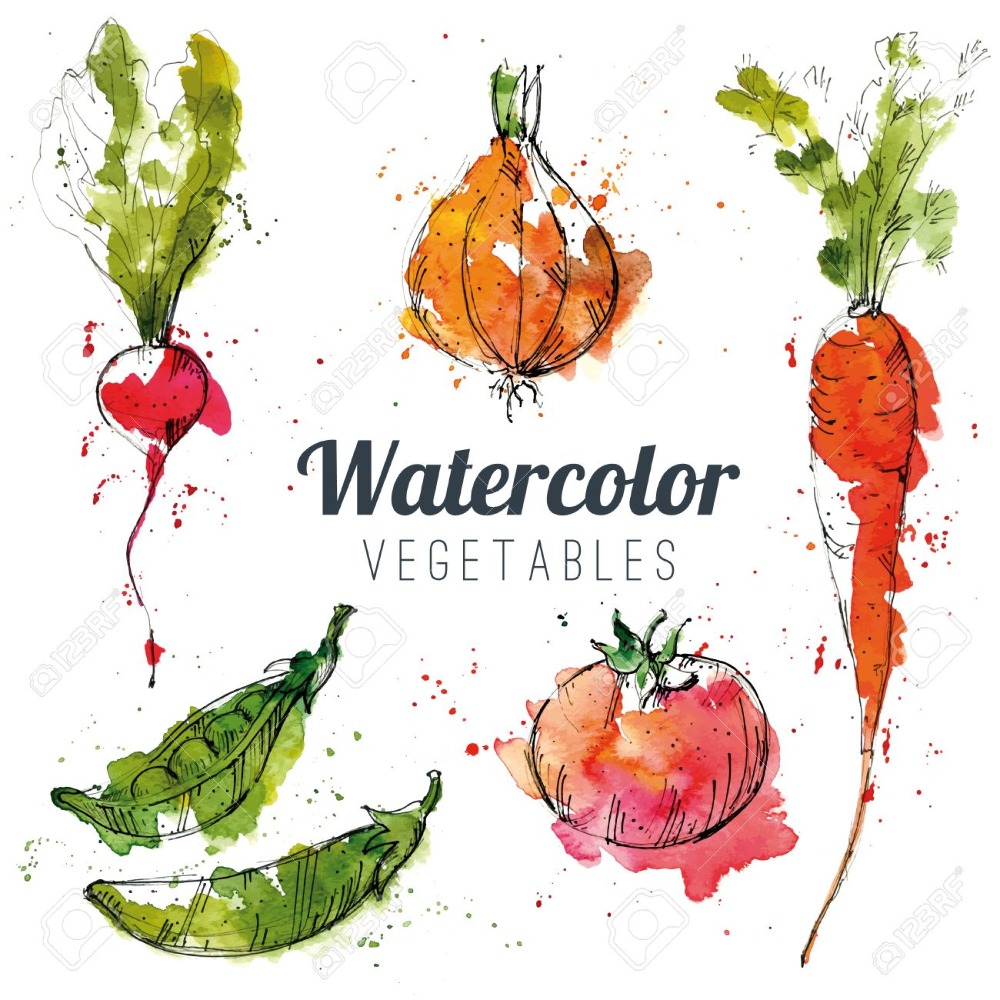 Detail Watercolor Vegetables Nomer 27