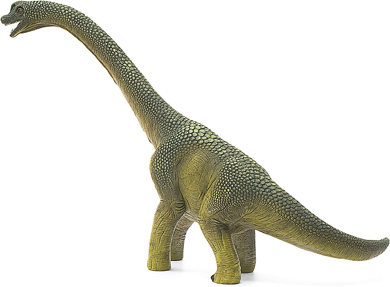 Detail Brachiosaurus Gehirn Nomer 9