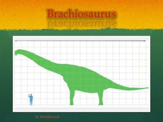 Detail Brachiosaurus Gehirn Nomer 4