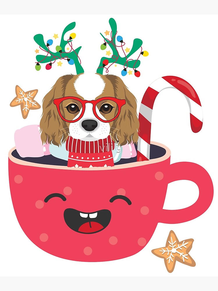 Cavalier King Charles Chihuahua Mix - KibrisPDR