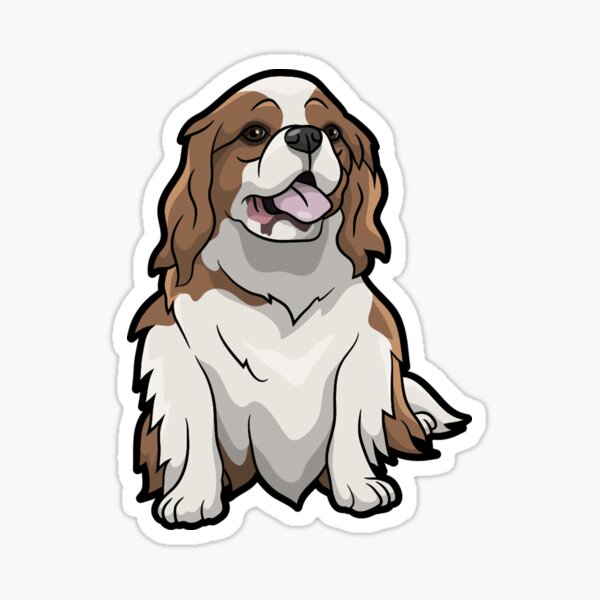 Detail Cavalier King Charles Chihuahua Mix Nomer 10