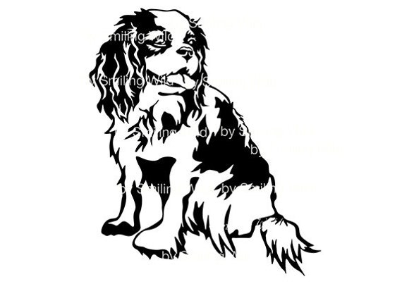 Detail Cavalier King Charles Chihuahua Mix Nomer 12