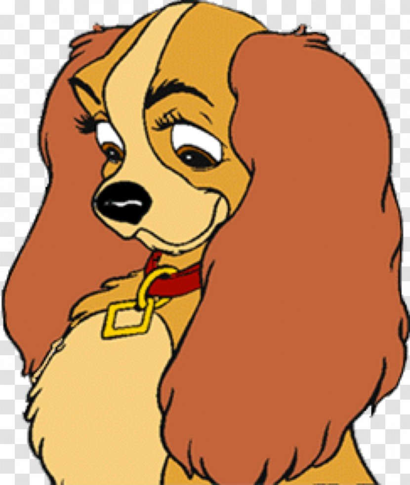 Detail Cavalier King Charles Chihuahua Mix Nomer 13