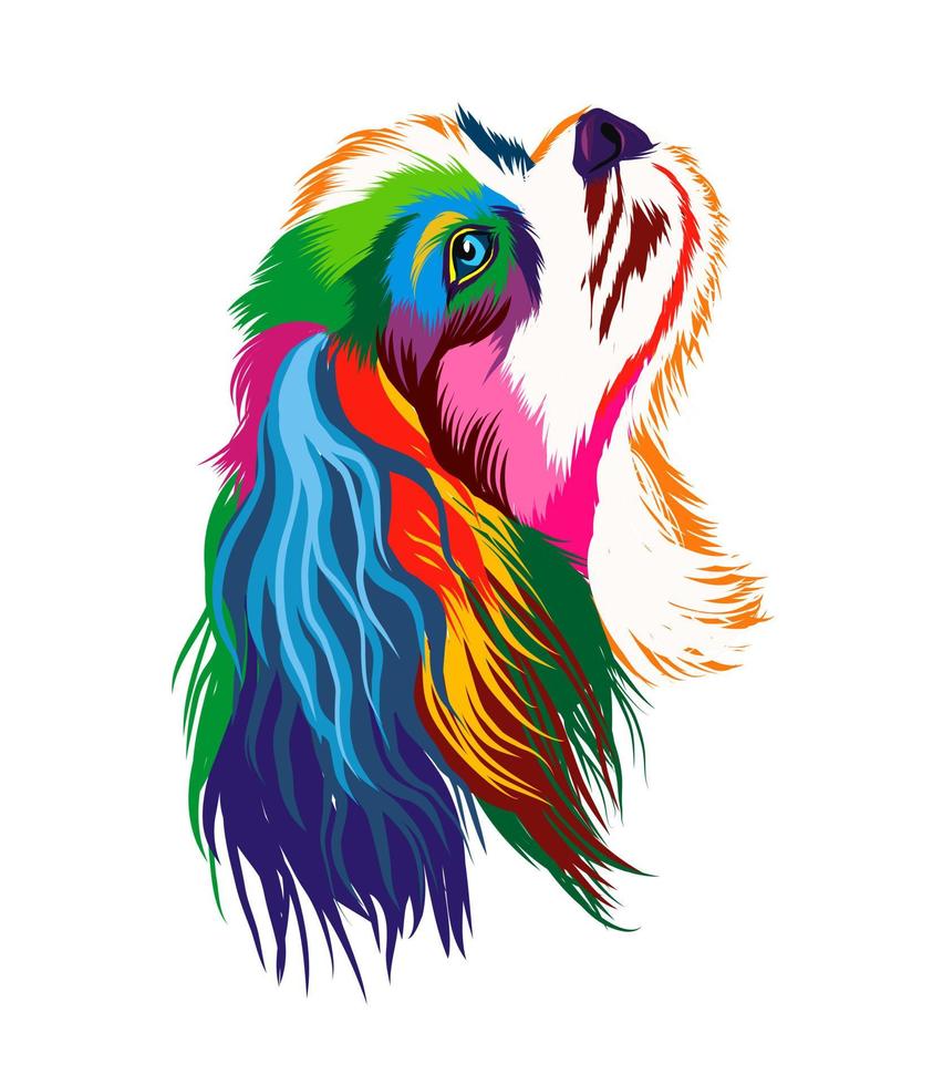 Detail Cavalier King Charles Chihuahua Mix Nomer 14