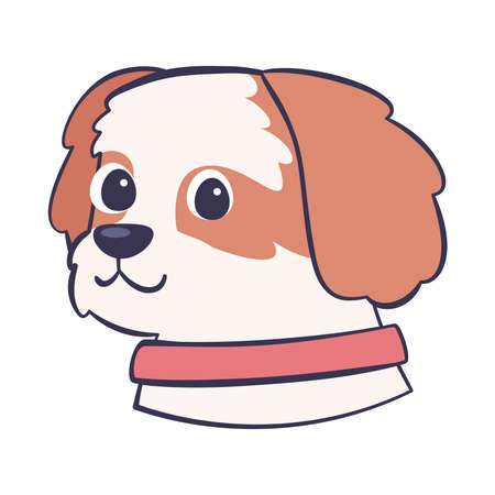 Detail Cavalier King Charles Chihuahua Mix Nomer 15