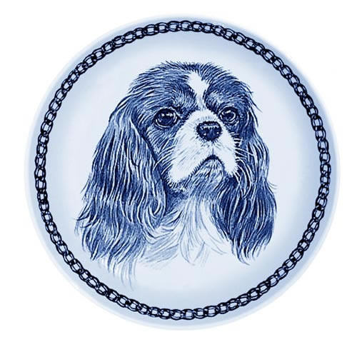 Detail Cavalier King Charles Chihuahua Mix Nomer 18