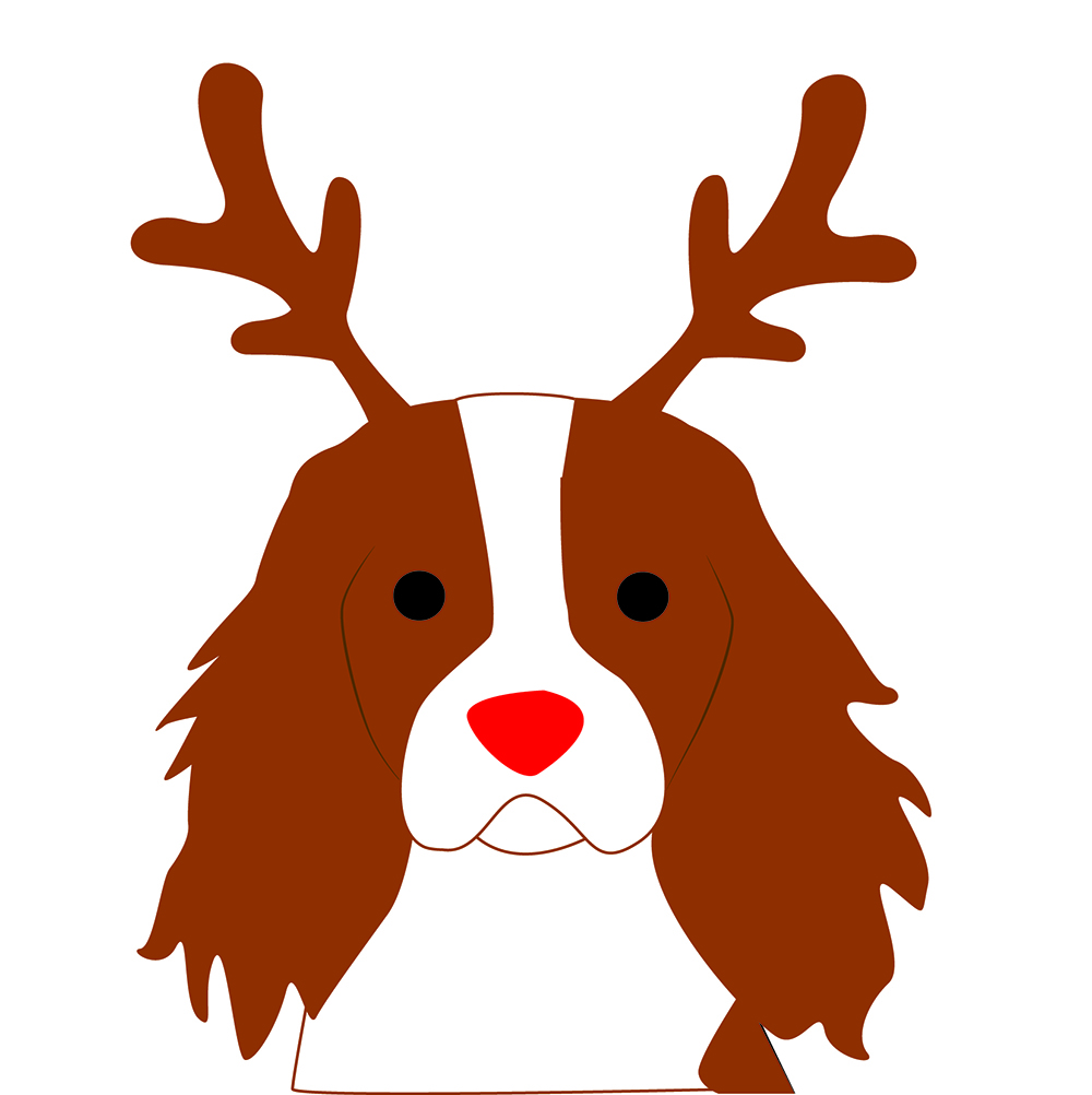Detail Cavalier King Charles Chihuahua Mix Nomer 20