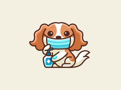 Detail Cavalier King Charles Chihuahua Mix Nomer 24