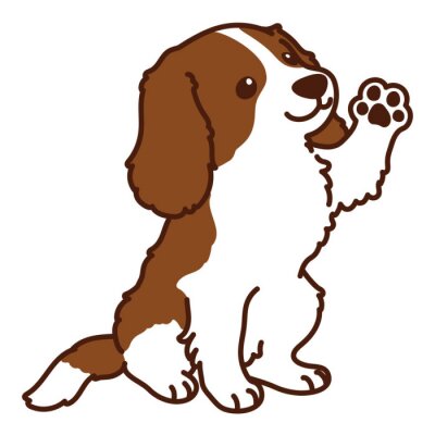 Detail Cavalier King Charles Chihuahua Mix Nomer 26