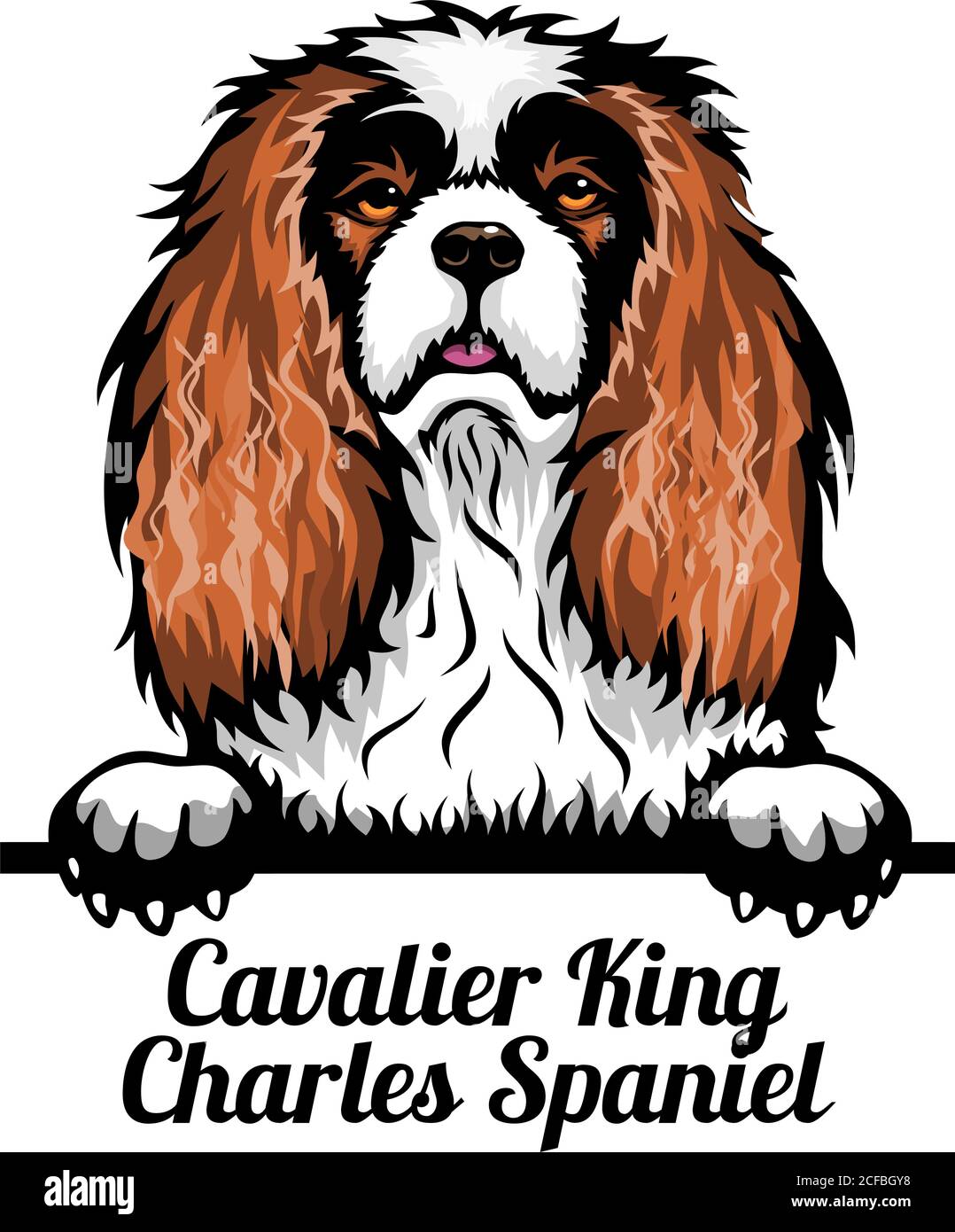 Detail Cavalier King Charles Chihuahua Mix Nomer 4