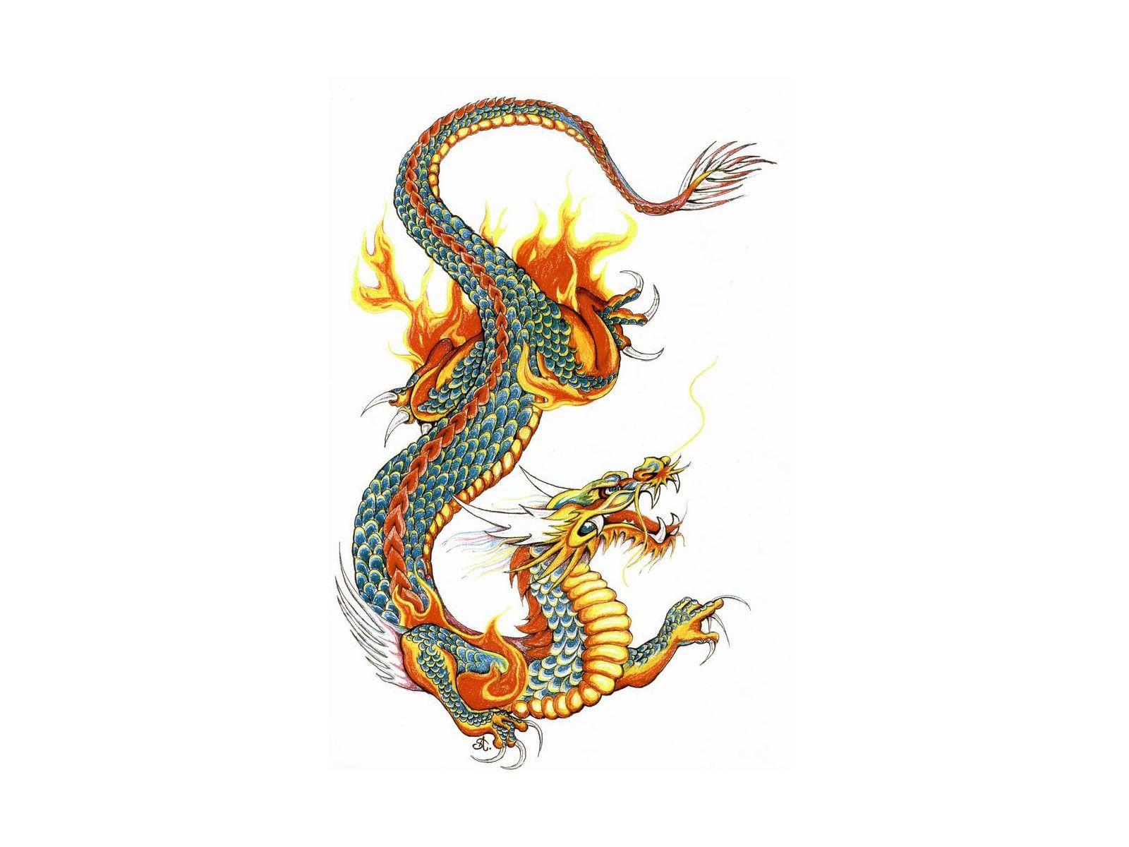 Detail Chinesischer Drache Tattoo Frau Nomer 7
