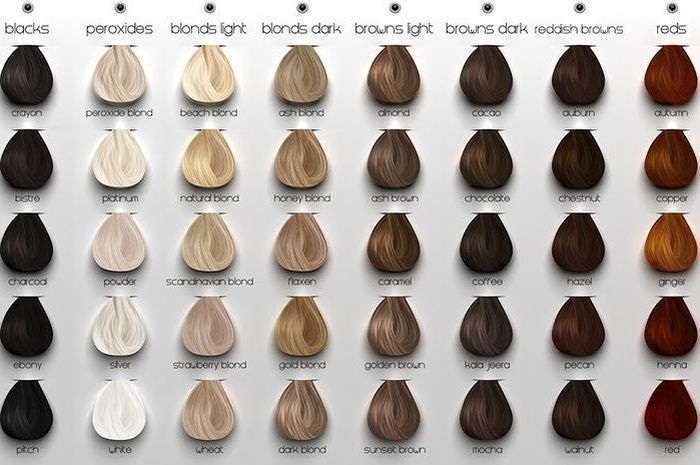 Detail Contoh Warna Rambut Nomer 5