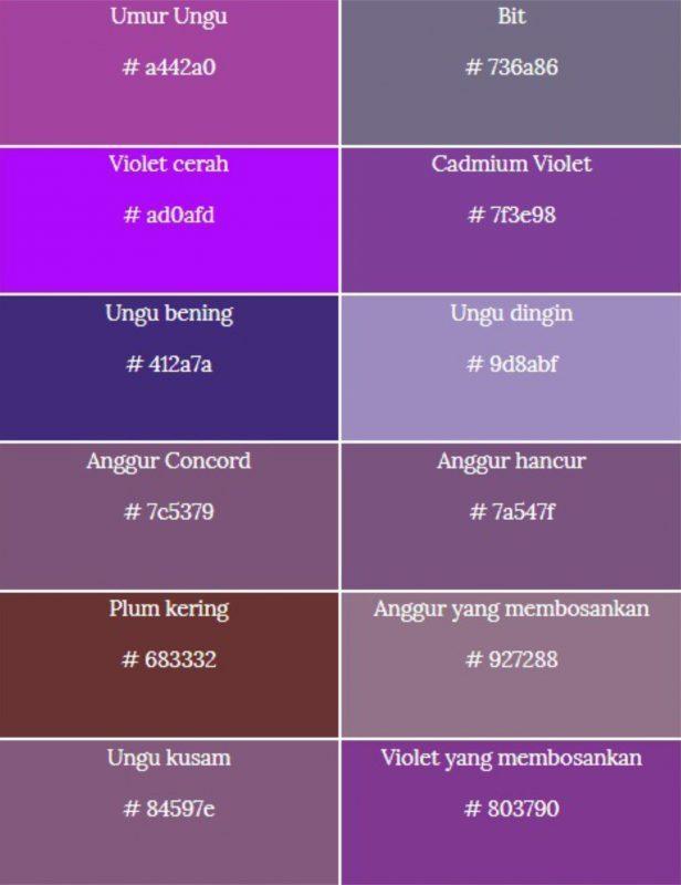 Detail Contoh Warna Ungu Nomer 20