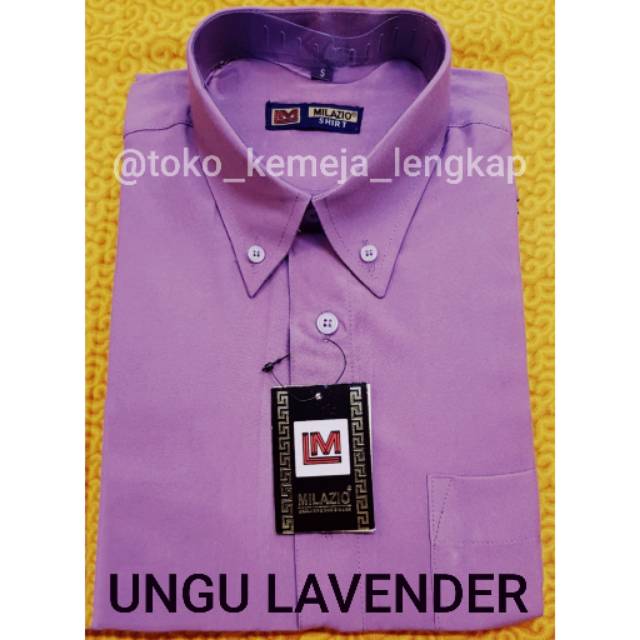 Detail Contoh Warna Ungu Lilac Nomer 18