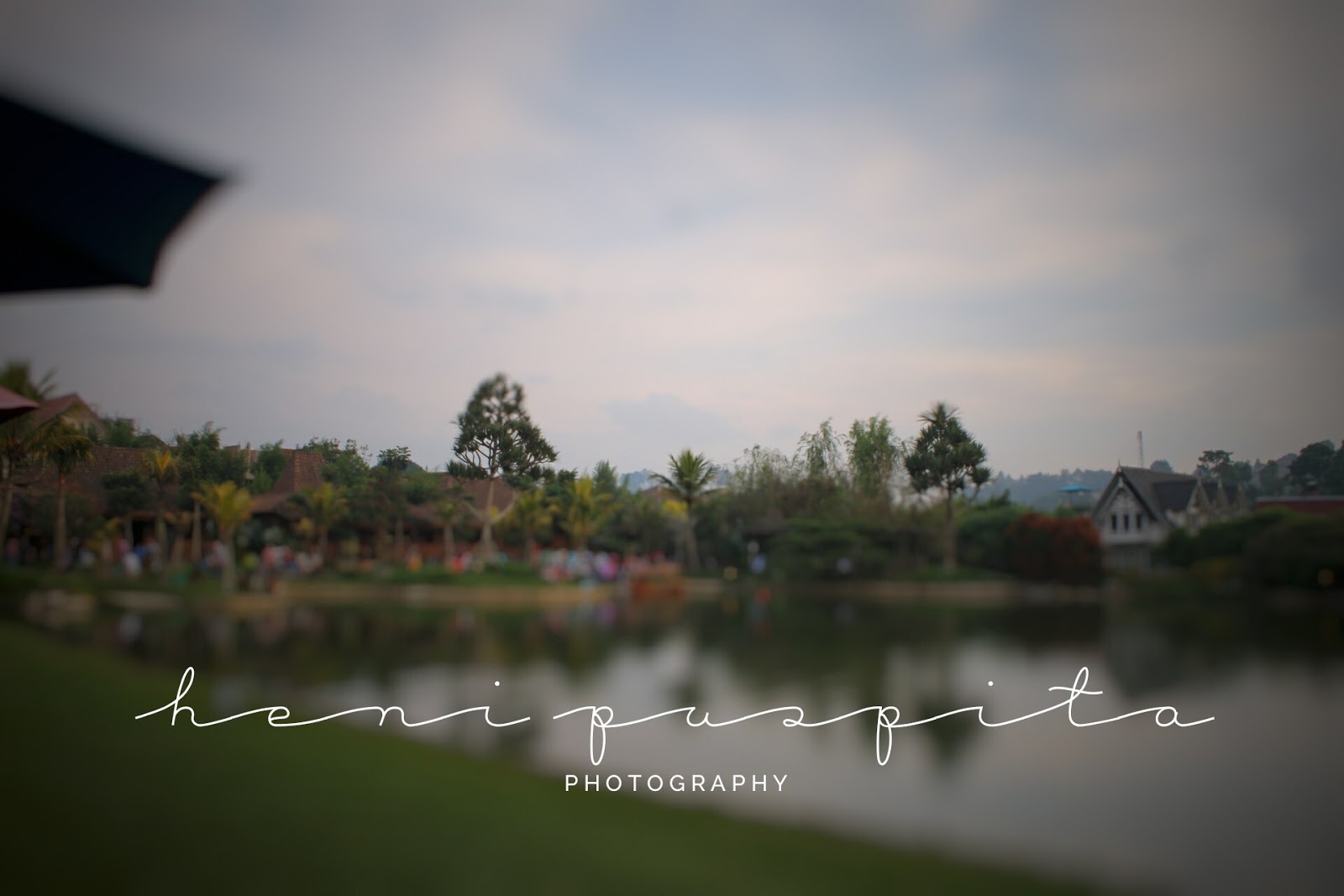 Detail Contoh Watermark Foto Koleksi Nomer 36