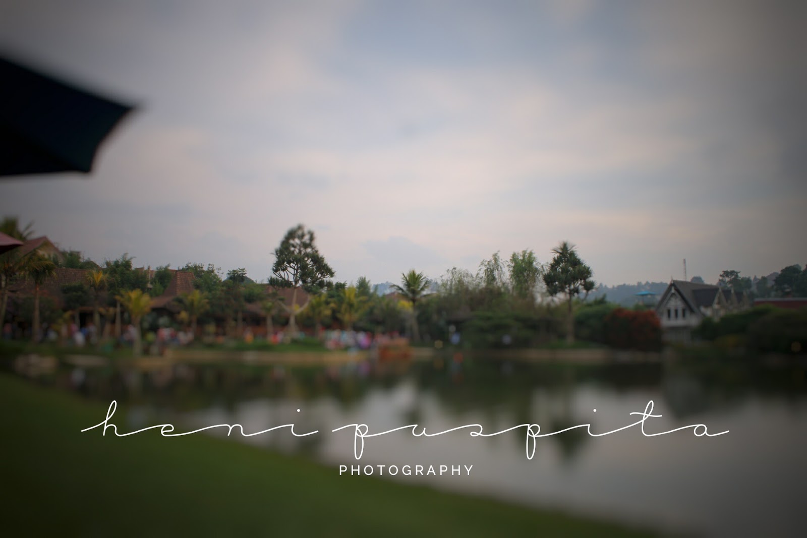 Detail Contoh Watermark Foto Nomer 36