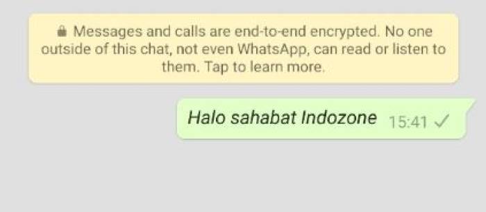 Detail Contoh Whatsapp Id Nomer 43
