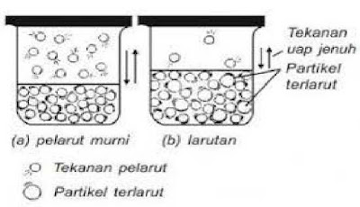 Detail Contoh Zat Pelarut Nomer 48