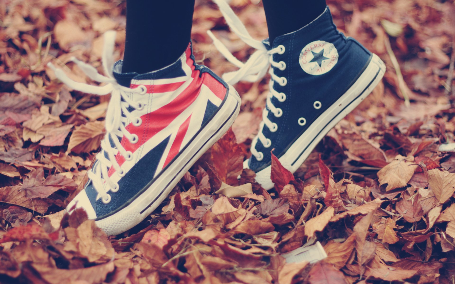 Detail Converse Wallpaper Nomer 57