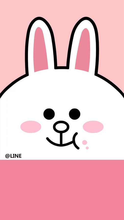 Detail Cony Wallpaper Nomer 17