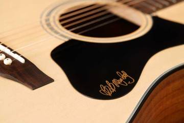 Detail Cool Acoustic Guitar Pictures Nomer 53