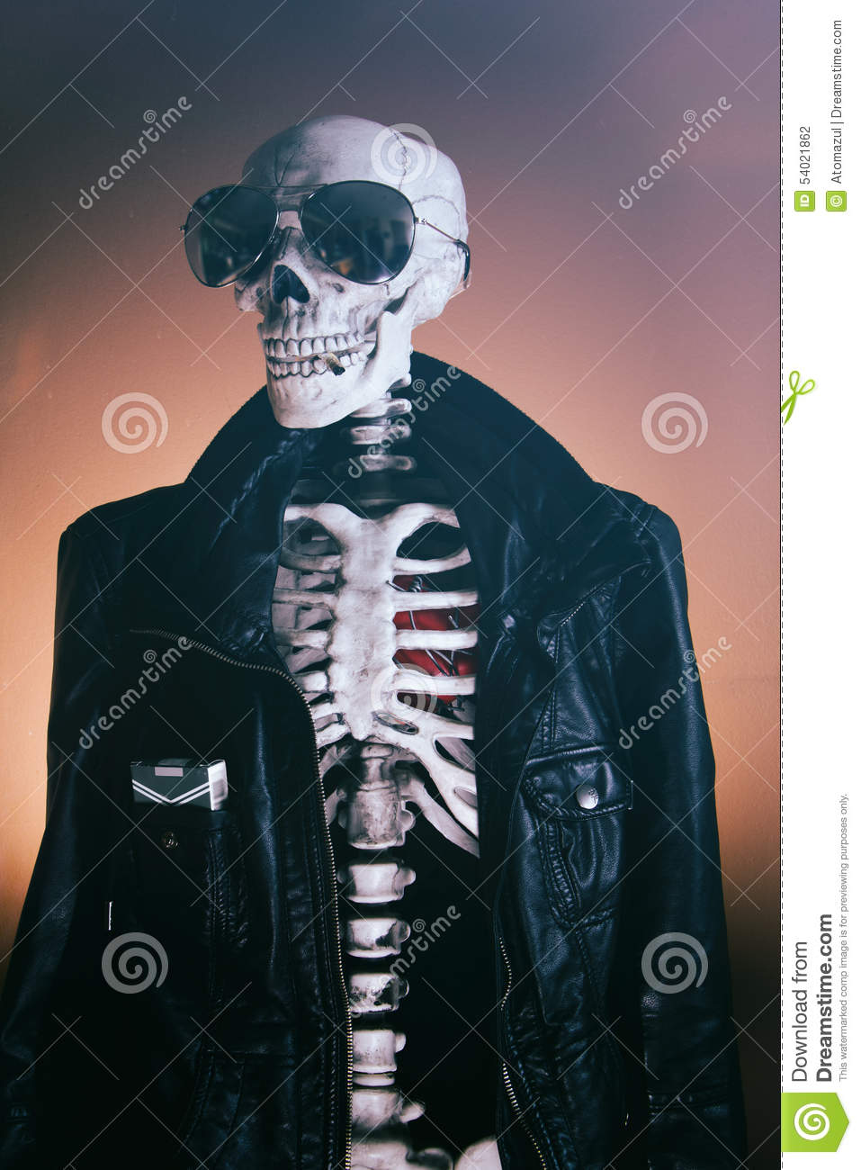 Detail Cool Skeleton Pictures Nomer 20