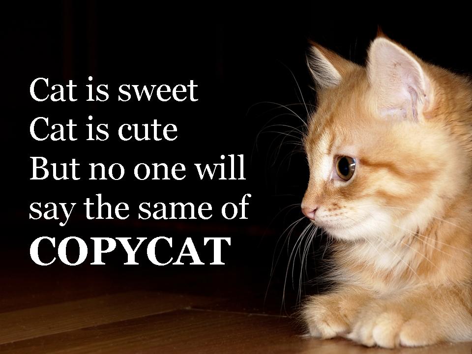 Detail Copy Cat Quotes Nomer 53