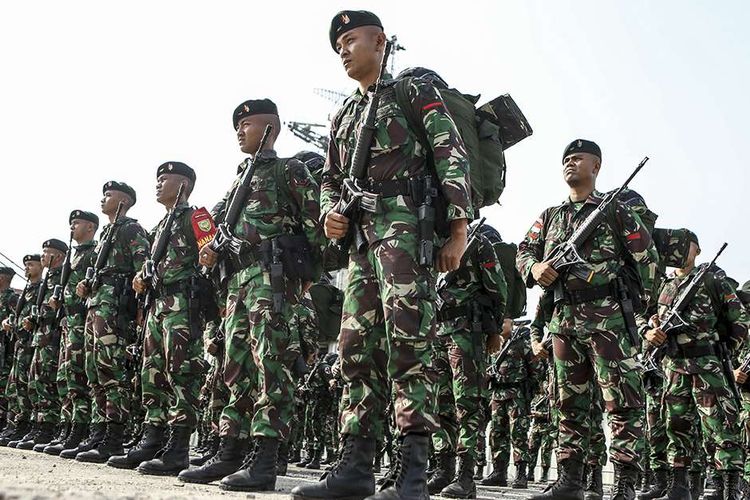 Detail Corak Loreng Loreng Tni Nomer 43