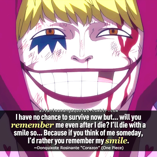 Detail Corazon One Piece Quotes Nomer 12