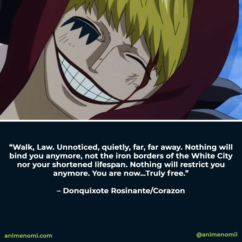 Detail Corazon One Piece Quotes Nomer 9