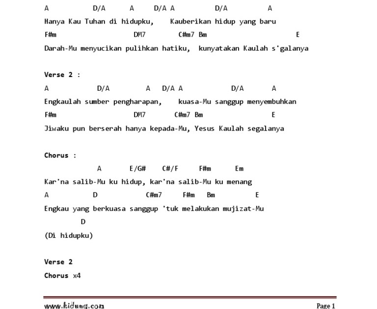 Detail Cord Gitar Kandas Nomer 18