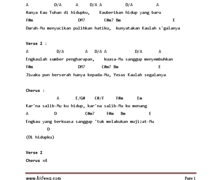 Detail Cord Gitar Kandas Nomer 18