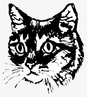 Detail Coretan Cat Vector Nomer 53