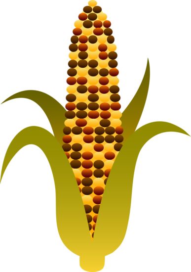 Detail Corn Clip Art Nomer 19