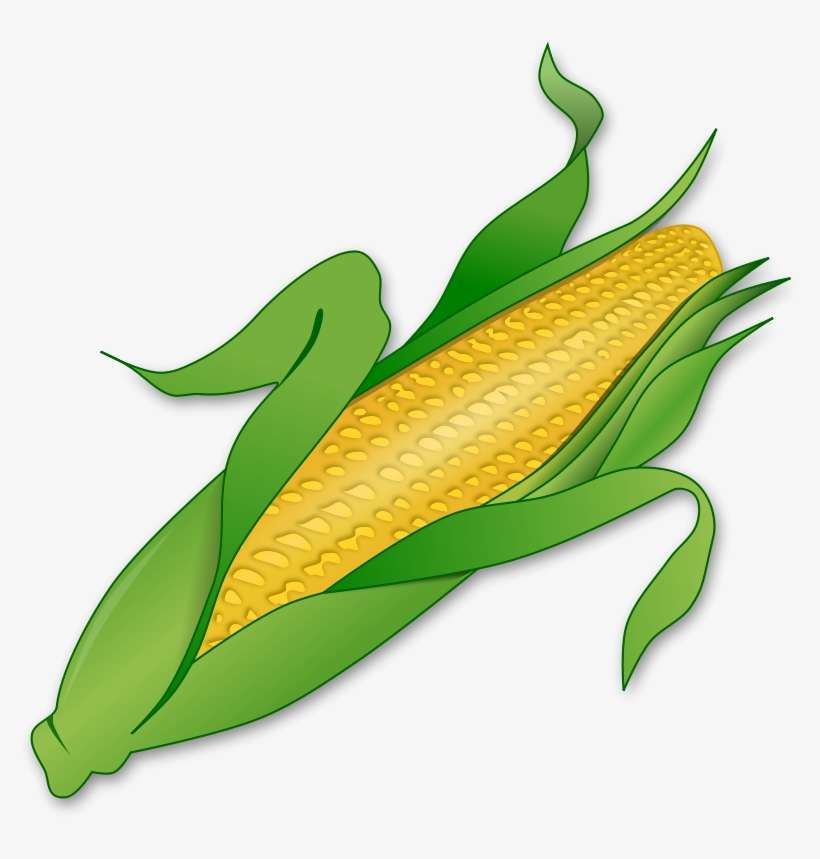 Download Corn Clip Art Nomer 40