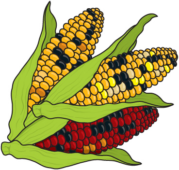 Detail Corn Clip Art Nomer 46