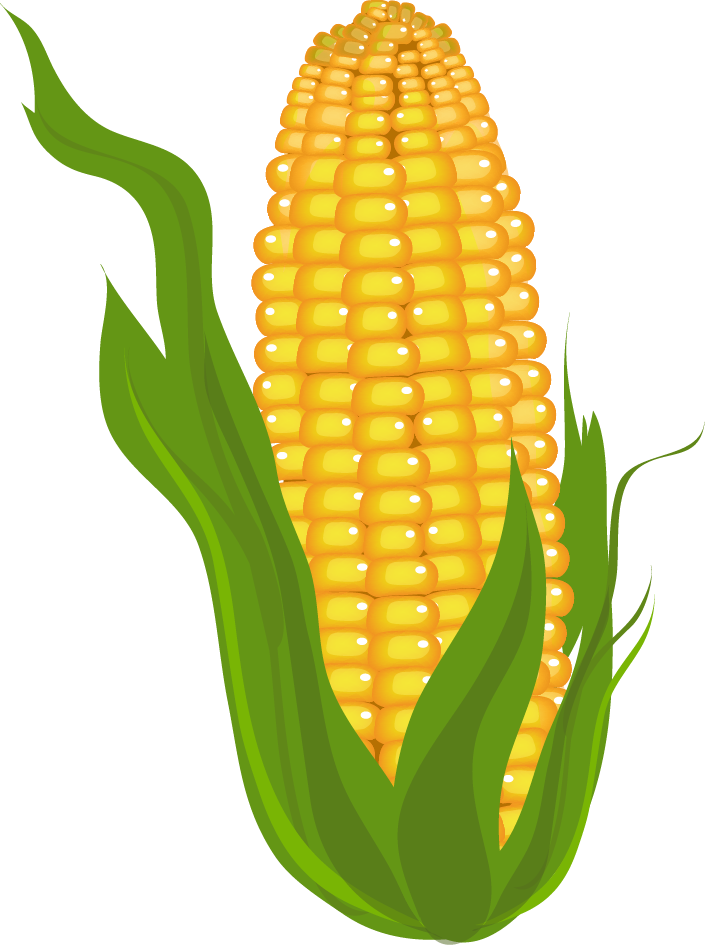 Detail Corn Clip Art Nomer 6