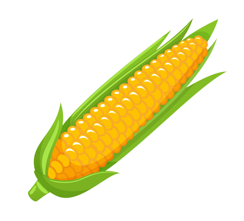 Detail Corn Clipart Nomer 9