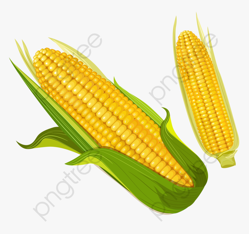 Detail Corn Clipart Png Nomer 25